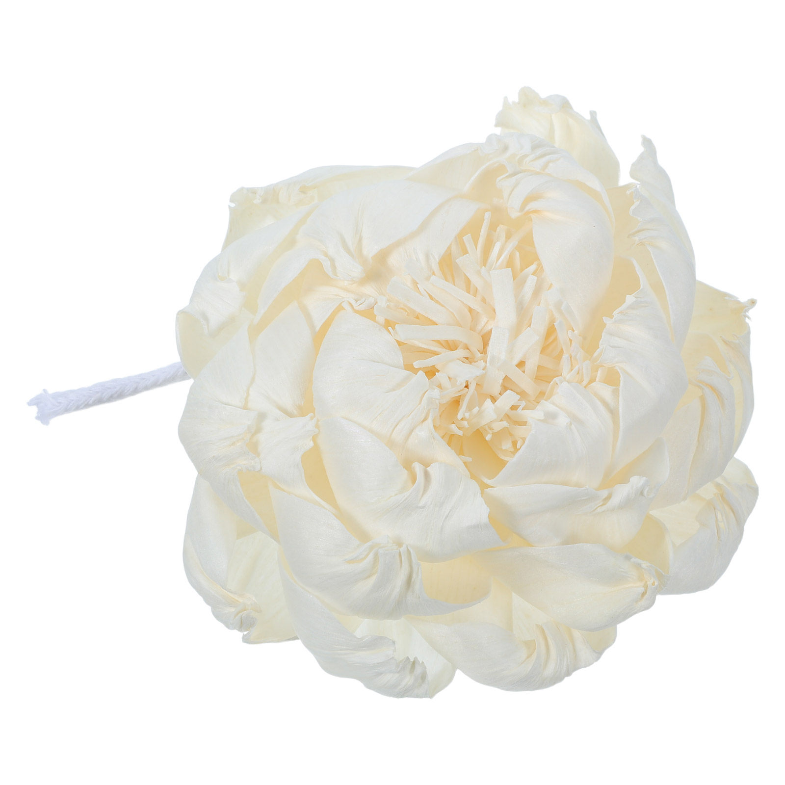 موزع عطر برائحة زهرة الفاونيا  - مراجعة Home Fragrance Diffusers وسعره