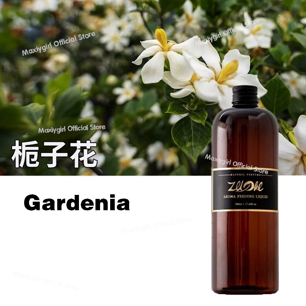 500 مللي عكس باريس خمسة فندق ج - مراجعة Home Fragrance Accessories وسعره